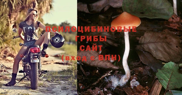 2c-b Белокуриха