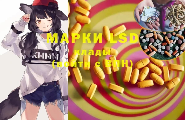 спайс Беломорск