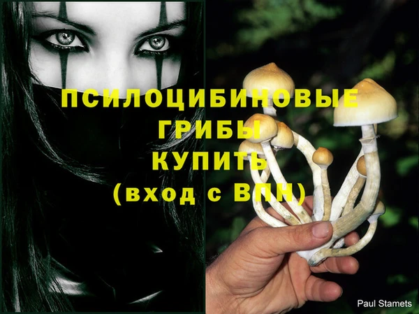 2c-b Белокуриха