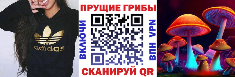 Псилоцибиновые грибы Magic Shrooms  даркнет сайт  Онега 